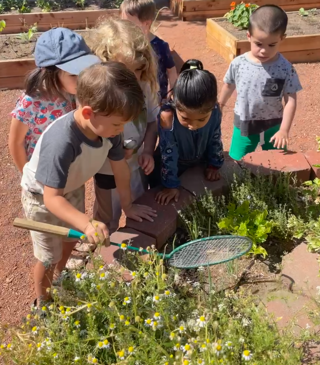 kids exploring website