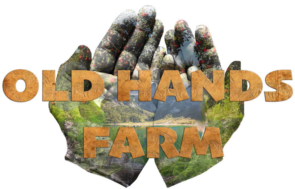v2 website old hands logo xparent