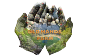 website logo v1 copy transparent